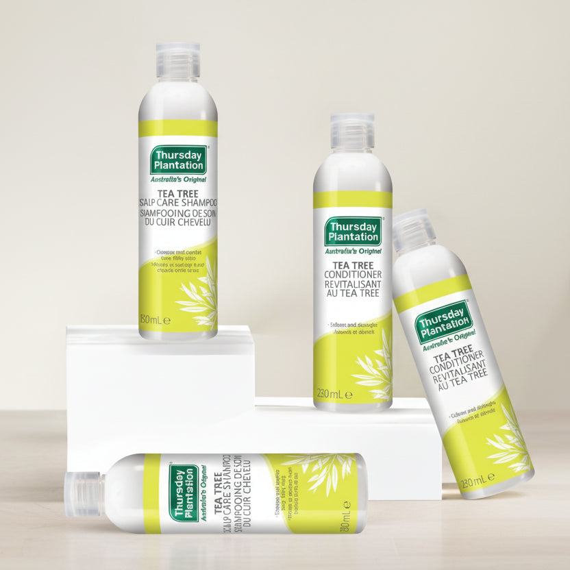 Shampoing soin du cuir chevelu à l'arbre à thé